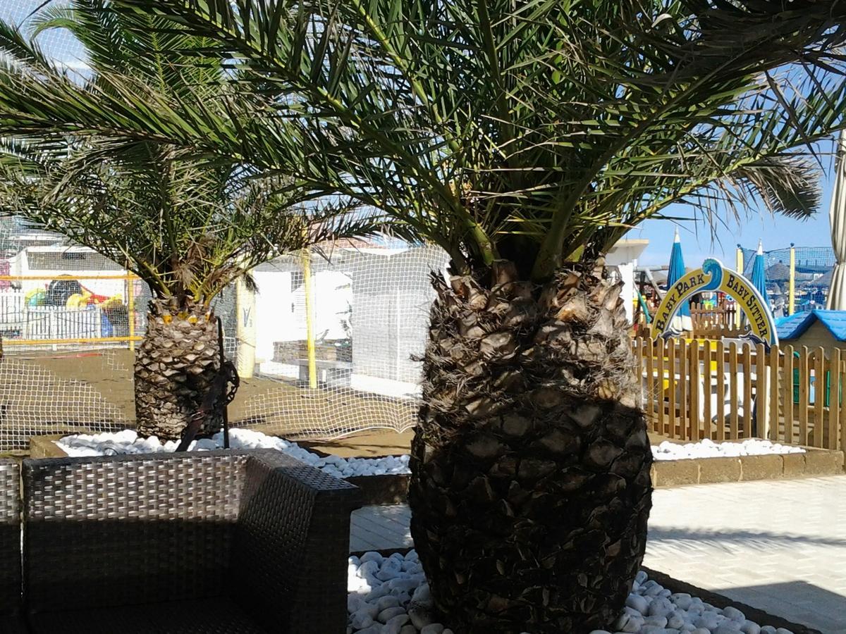 Residence Adriatico Gabicce Mare Dış mekan fotoğraf